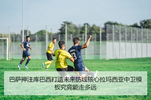 ba-sa-ya-zhu-ku-ba-xi-da-zao-wei-lai-fang-xian-he-xin-la-ma-xi-ya-zhong-wei-mu-ban-jiu-jing-neng-zou-duo-yuan-2-566.jpg