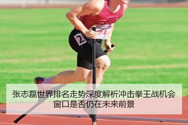 张志磊世界排名走势深度解析冲击拳王战机会窗口是否仍在未来前景