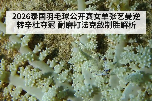 2026泰国羽毛球公开赛女单张艺曼逆转辛杜夺冠 耐磨打法克敌制胜解析