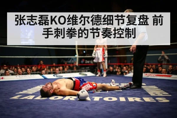 张志磊KO维尔德细节复盘 前手刺拳的节奏控制