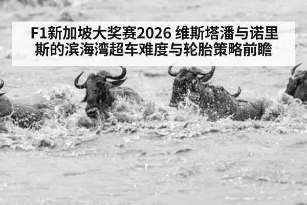 F1新加坡大奖赛2026 维斯塔潘与诺里斯的滨海湾超车难度与轮胎策略前瞻